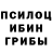 Псилоцибиновые грибы прущие грибы Evvdvd Vdgd