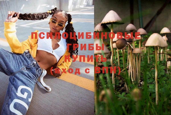 спиды Белоозёрский