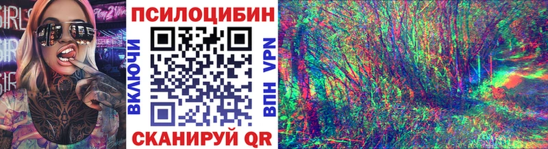 ОМГ ОМГ ТОР  Иркутск  Псилоцибиновые грибы Cubensis 